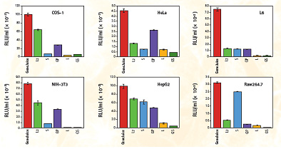 NanoJuice 转染试剂盒