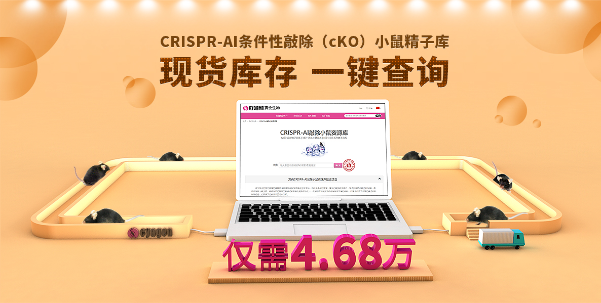 CRISPR-AI条件性敲除（cKO）小鼠精子库，现货库存，一键查询，仅需4.68万