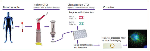 外周血循环肿瘤细胞(CTCs)的研究福利