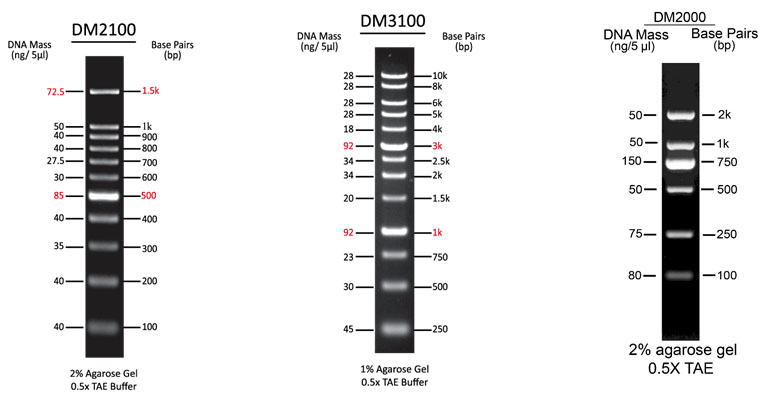 Smobio领衔最便宜的蛋白质\/DNAmarker,不服