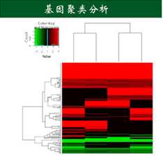 玛特大喜讯:Small RNA & mRNA高通量测序服