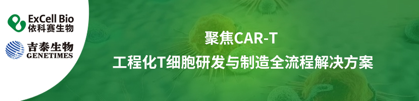 聚焦CAR-T | 工程化T细胞研发与制造全流程解决方案