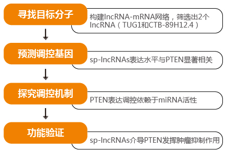 前列腺癌中lncRNA介导的sponge调控网络.png