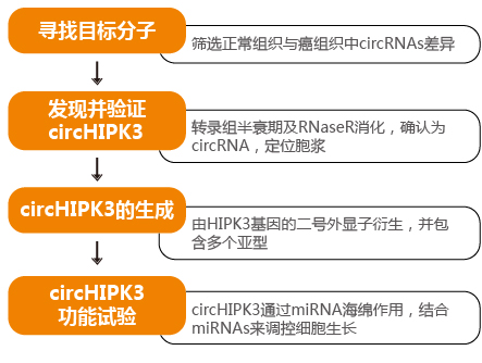 circRNA的miRNA海绵作用机制.png