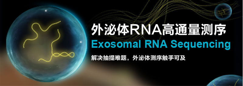 外泌体RNA高通量测序
