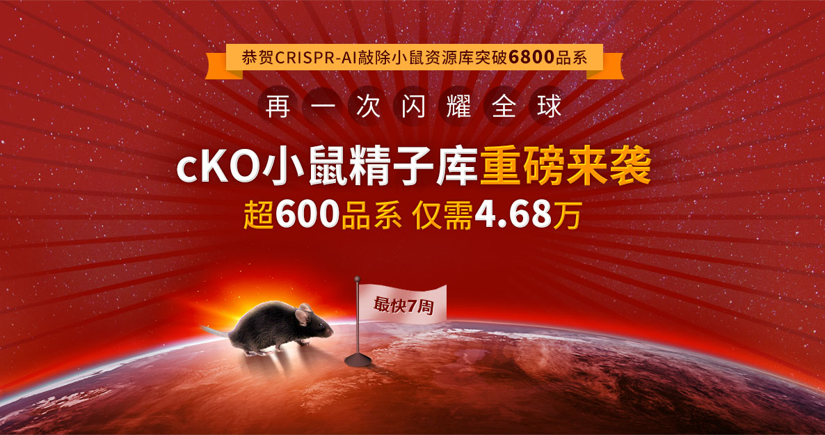 cKO小鼠精子库重磅来袭,超600品系 仅需4.68万
