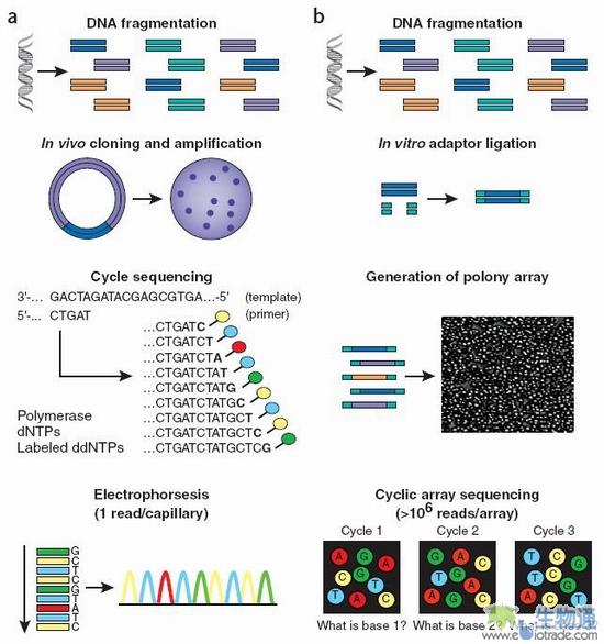 放眼未来,看新一代测序[创新技巧] -新一代测序