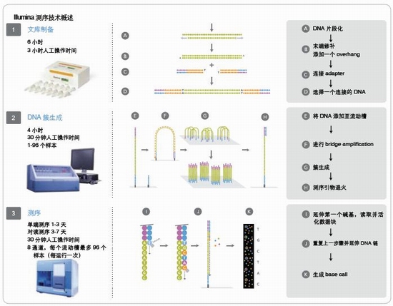 Illumina测序技术助力产前诊断[创新技巧] -Illum