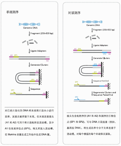 Illumina测序技术助力产前诊断[创新技巧] -Illum