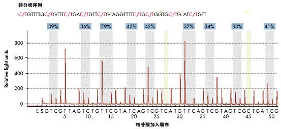 焦磷酸测序在甲基化分析中的应用[创新技巧] -