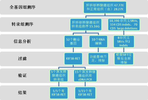 千年基因应用全基因组及转录组测序研究肺癌融
