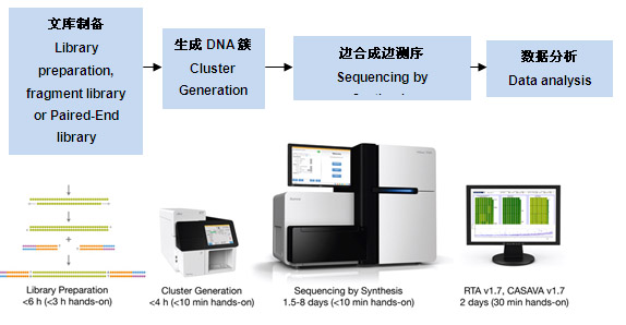 上海伯豪成为Illumina NGS认证服务商 -上海伯豪|新一代测序|Illumina|CSPro认证-生物通