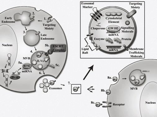 《相约2015NSFC》之疾病相关外泌体RNA研