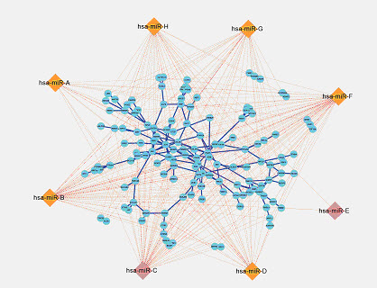 《相约2015NSFC》之疾病相关外泌体RNA研