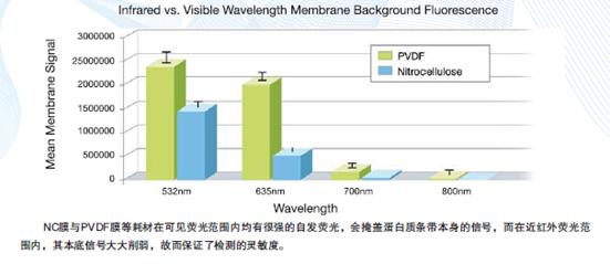 白质研究的一盏神灯 -Odyssey|双色红外激光成