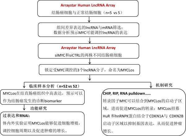J Natl Cancer Inst最新发表应用Arraystar LncRN