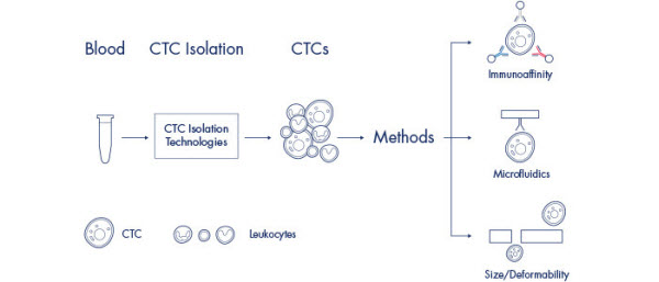 检测循环肿瘤细胞(CTC)的三种策略 -液体活检