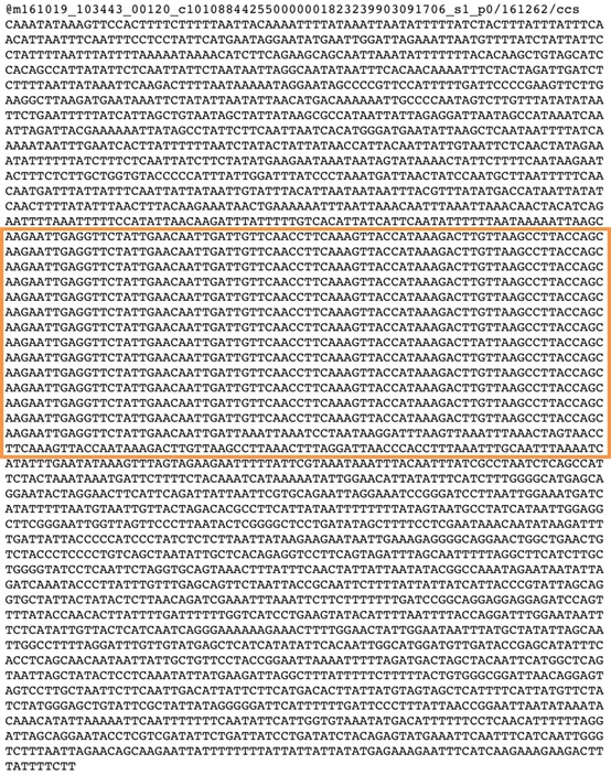 PacBio测序技术帮助萤火虫研究团队获得完整