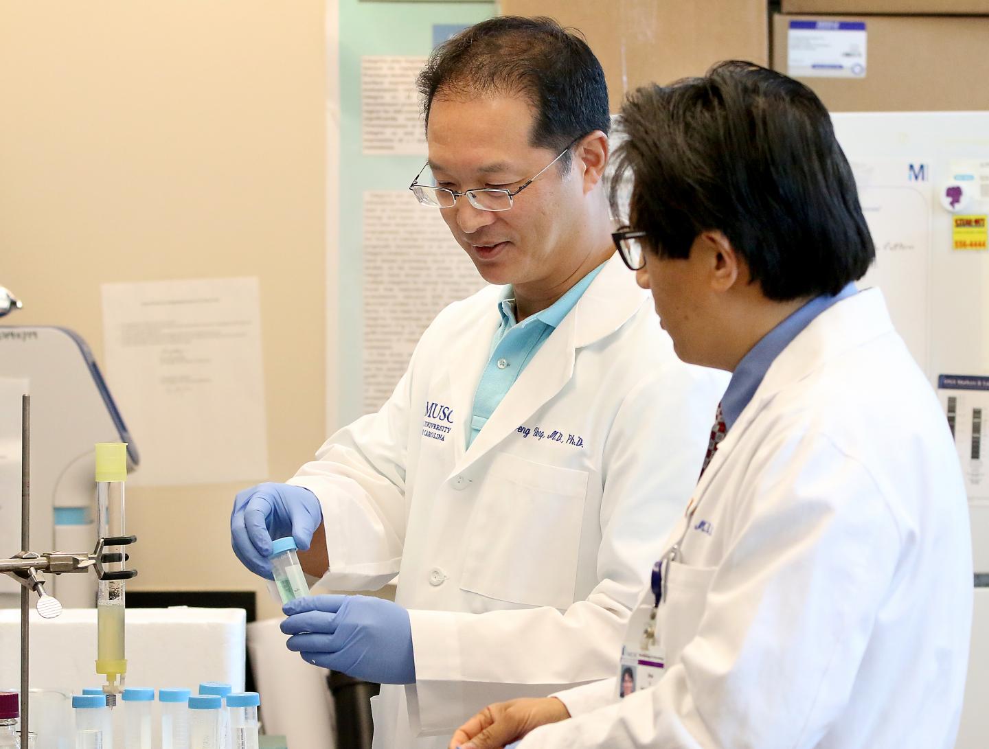 Nature子刊:神秘蛋白质引发代谢紊乱 -信号通路| CNPY2|脂肪肝|代谢|PERK-CHOP信号通路|grp78蛋白|-生物通