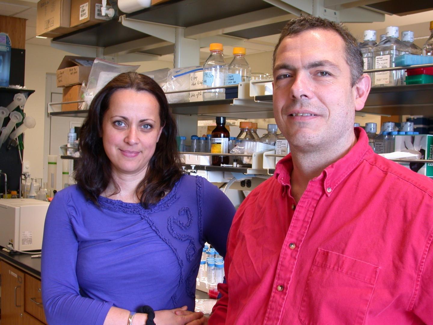 一个影响容貌特征的关键蛋白酶提示癌症治疗新