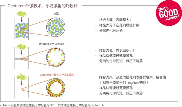 指尖上的蛋白质纯化--Capturem膜技术 -Taka