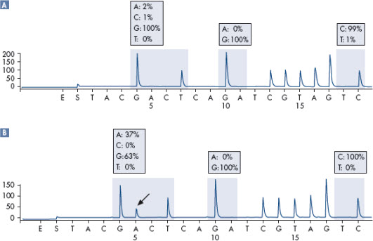 样品制备和分析宝典(四)[心得点评] -ffpe|分子分