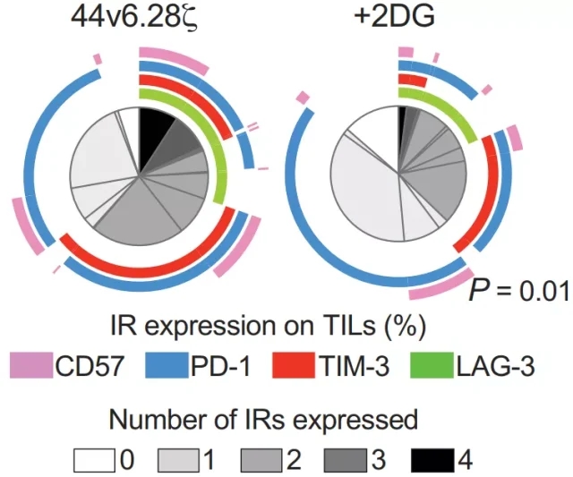 220125cc4-640x533.webp.jpg 220125cc4-640x533.webp.jpg