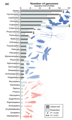 Inects-Genomes.png Inects-Genomes.png