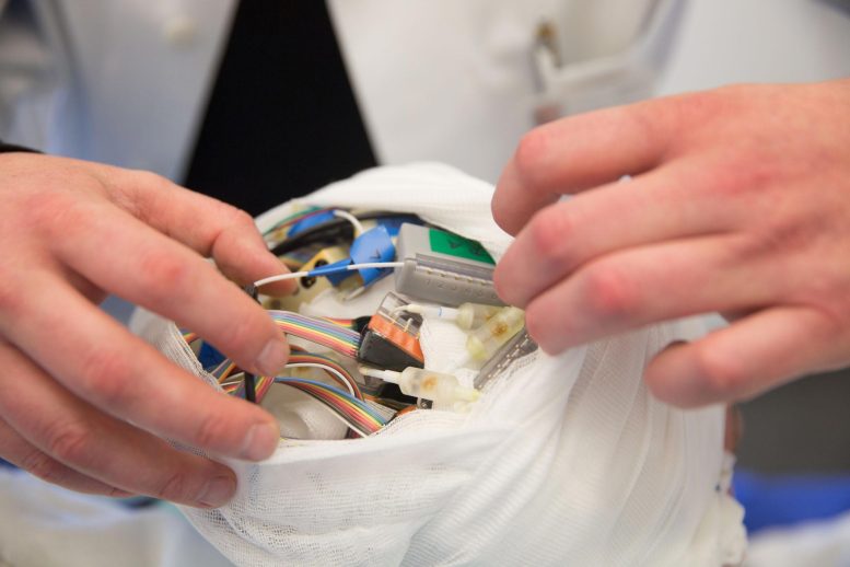 Tiny Electrodes Implanted in Brain