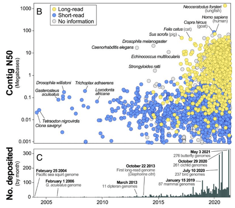 Animal-Plot.png Animal-Plot.png
