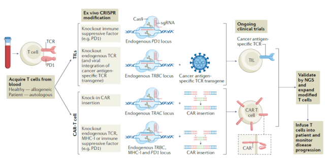 220331cc5-640x312.png 220331cc5-640x312.png