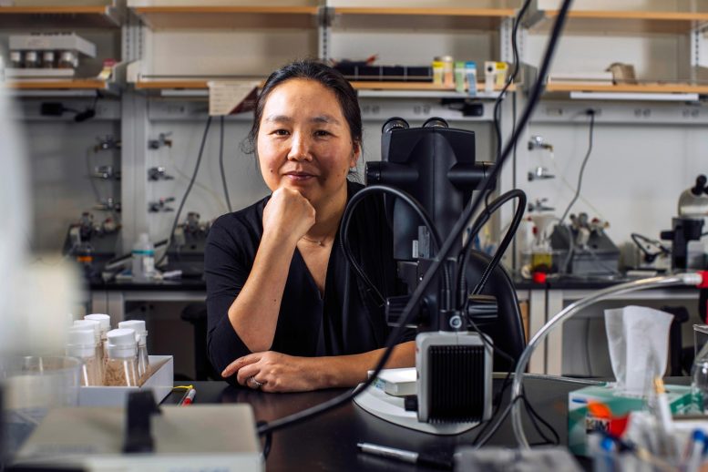 MIT Biologist Yukiko Yamashita