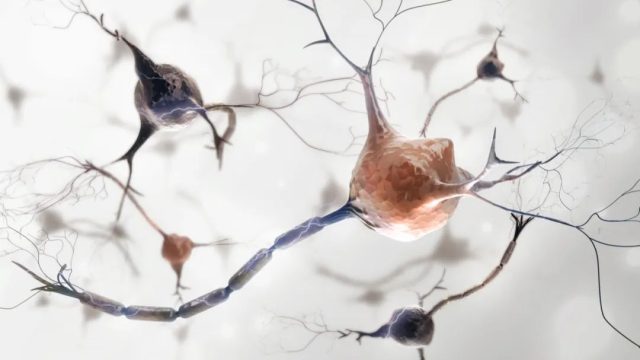 Molecular Psychiatry: Blood tests for Alzheimer's disease are different for men and women!