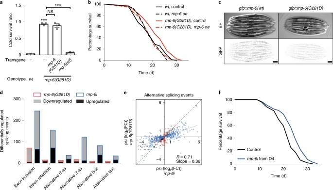1.webp.jpg 1.webp.jpg