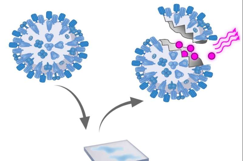 Watching viruses fail