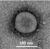 微信图片_20221220161445.png 微信图片_20221220161445.png