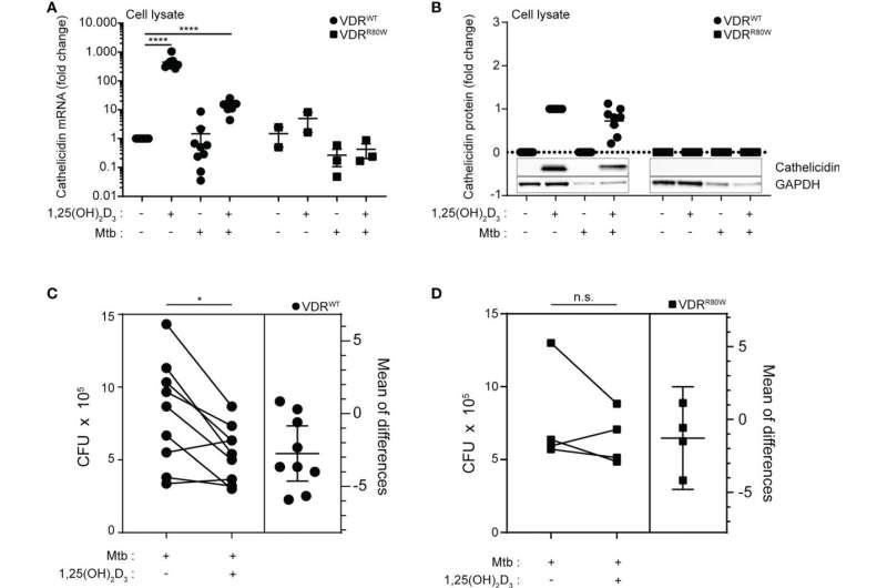 Vitamin D improves immune response to tuberculosis, study finds