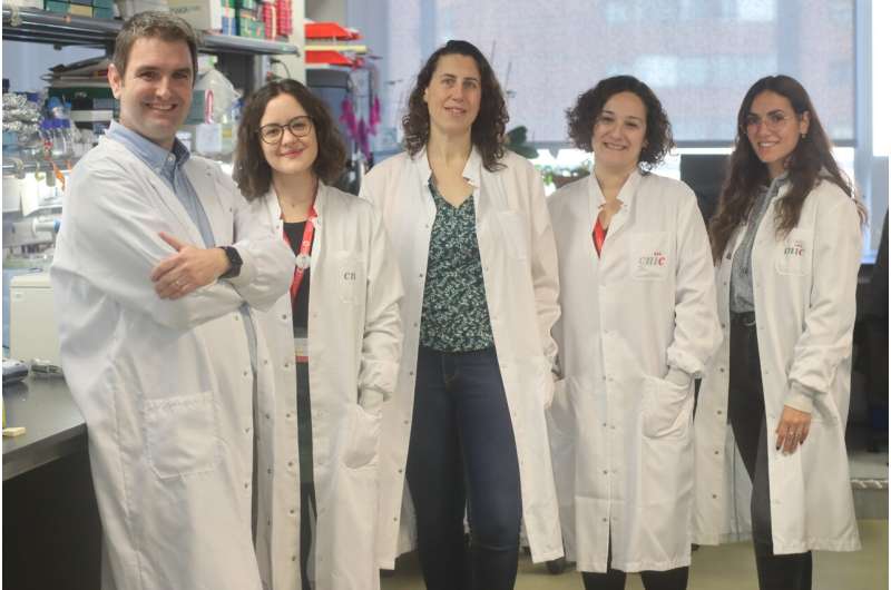 The 'guardian of the genome' protects against cardiovascular disease