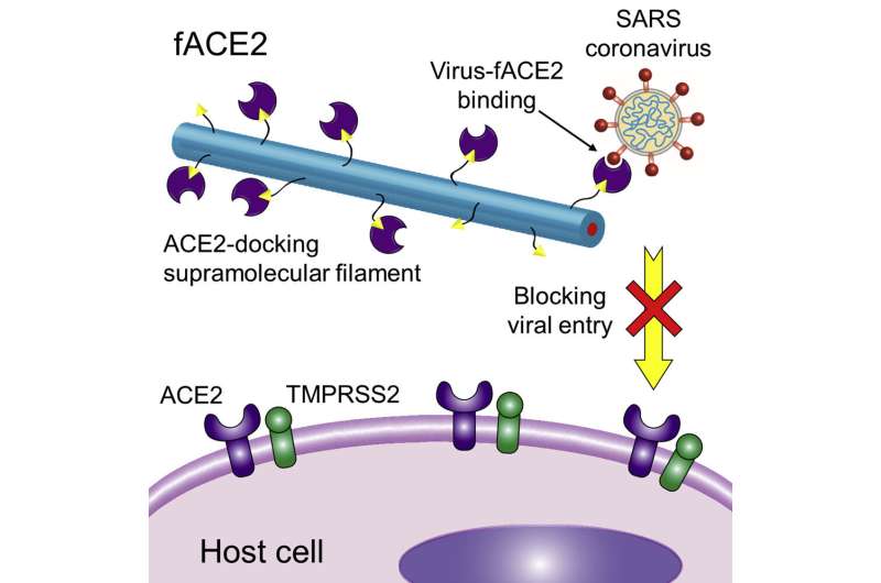 Simple spray could keep Covid away