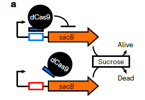 image003.png image003.png