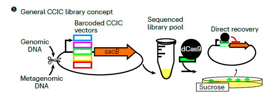 image004.png image004.png