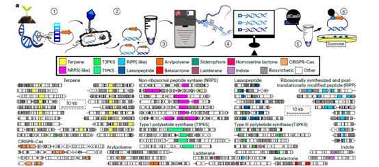 image008.png image008.png