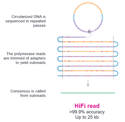 image009.png image009.png