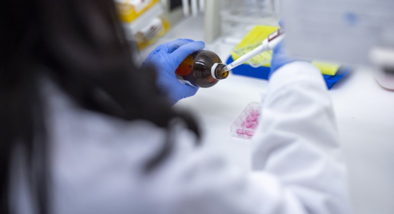 Hands working with pipette and liquid.