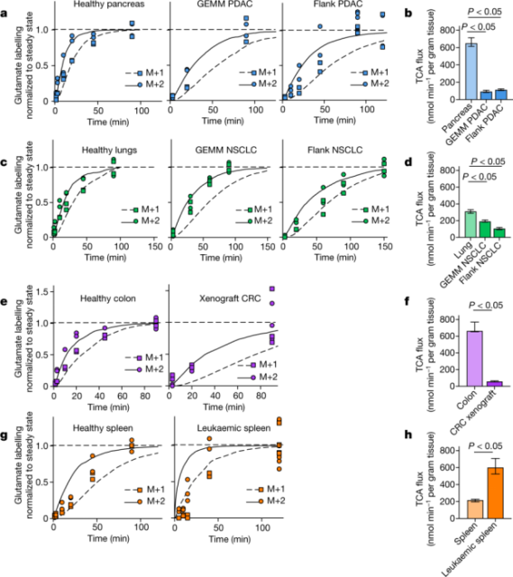Can cancer cells really be starved to death?