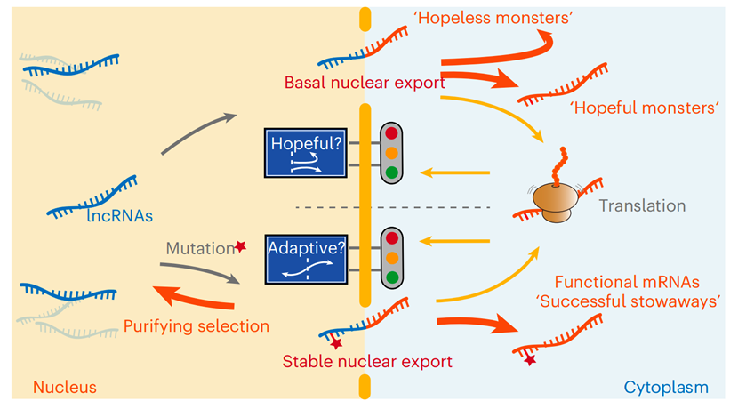 30ac005242ff4396815fca9dd2274f45.png 川昀.png