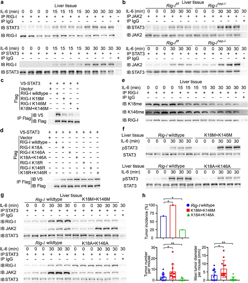 image003.png image003.png