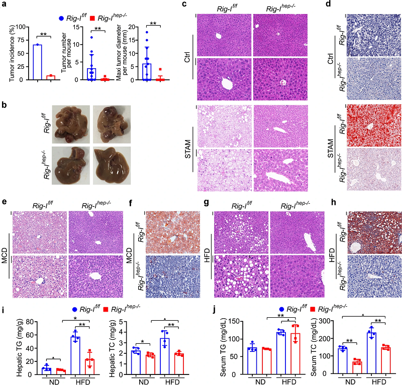 image005.png image005.png