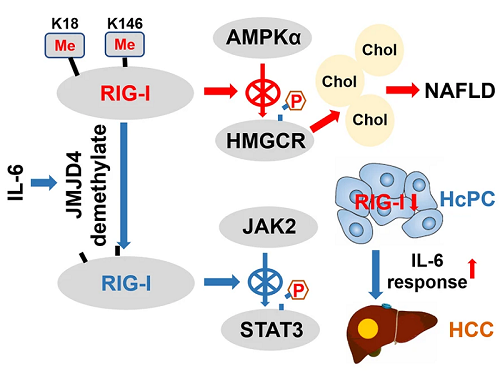 image007.png image007.png
