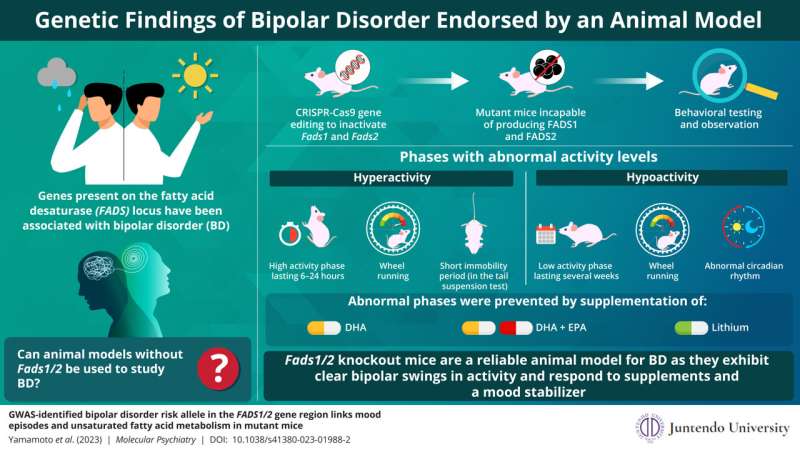 Researchers create mutant mice to study bipolar disorder
